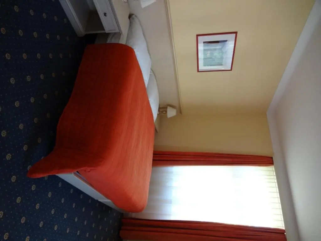 Standard Double room with mountain view (full double bed)