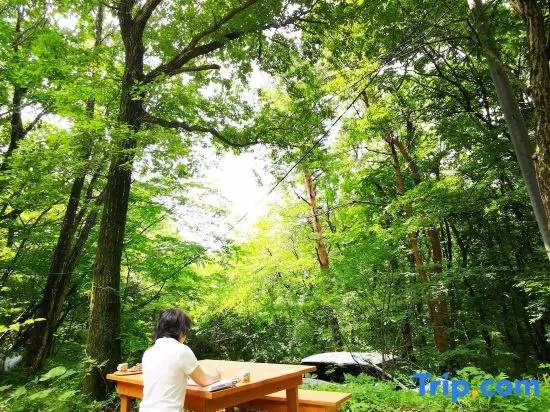 Private Cabin-Perfect for families, large groups!