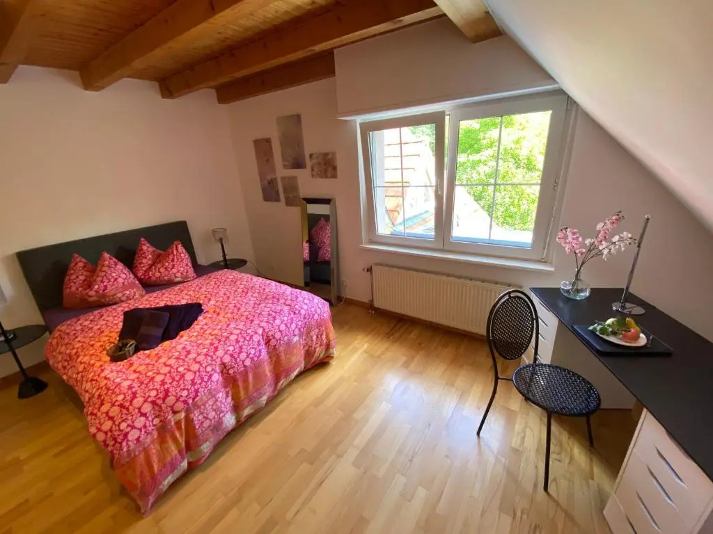 Studio de la paix