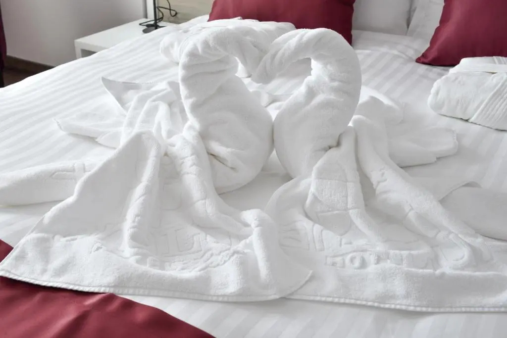 Hotel Ana Lux Spa - Chambres