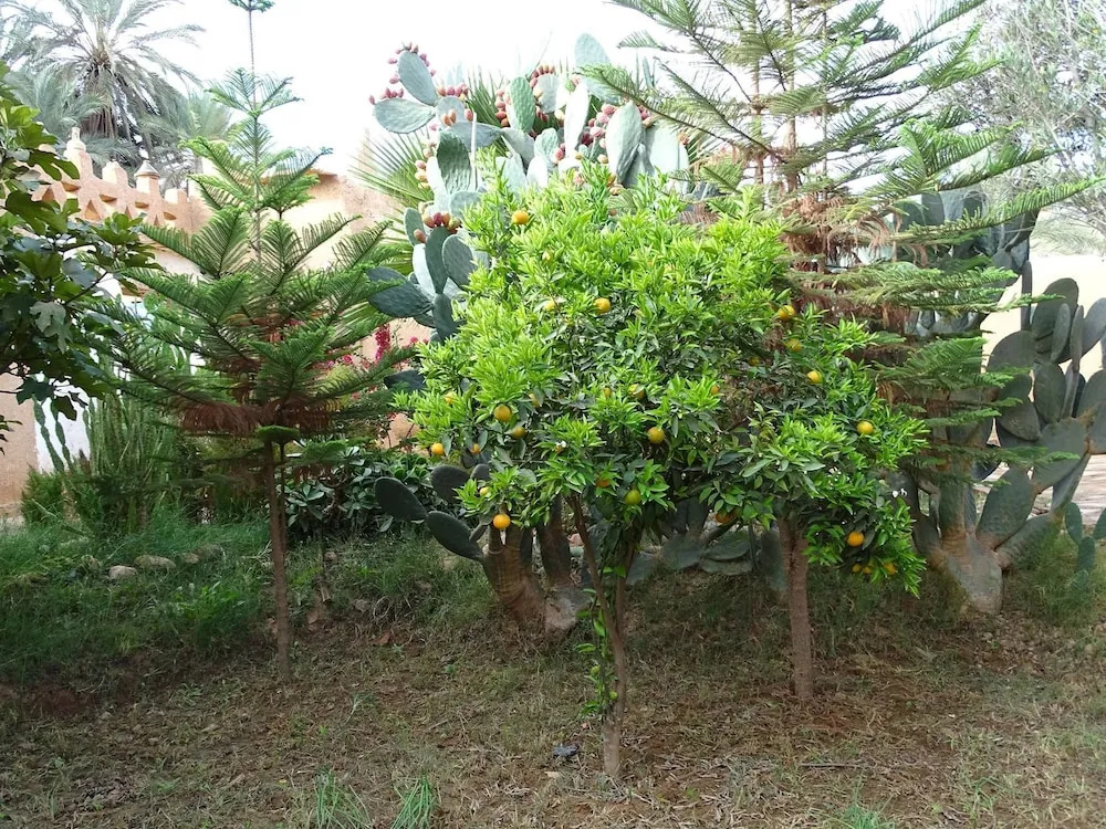 Maison Nomades