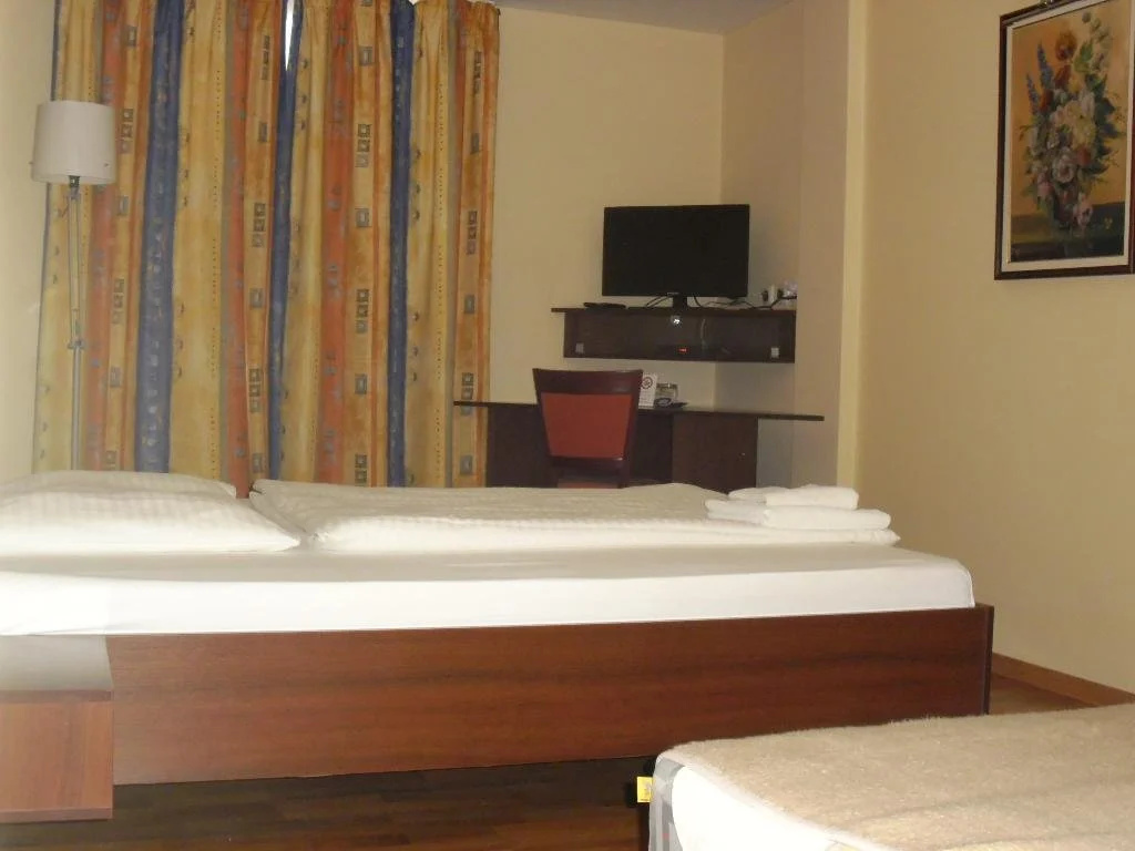 Hotel Arli