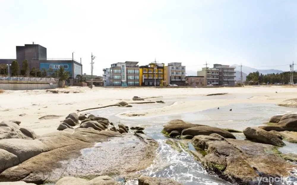 Beach & Waterfront