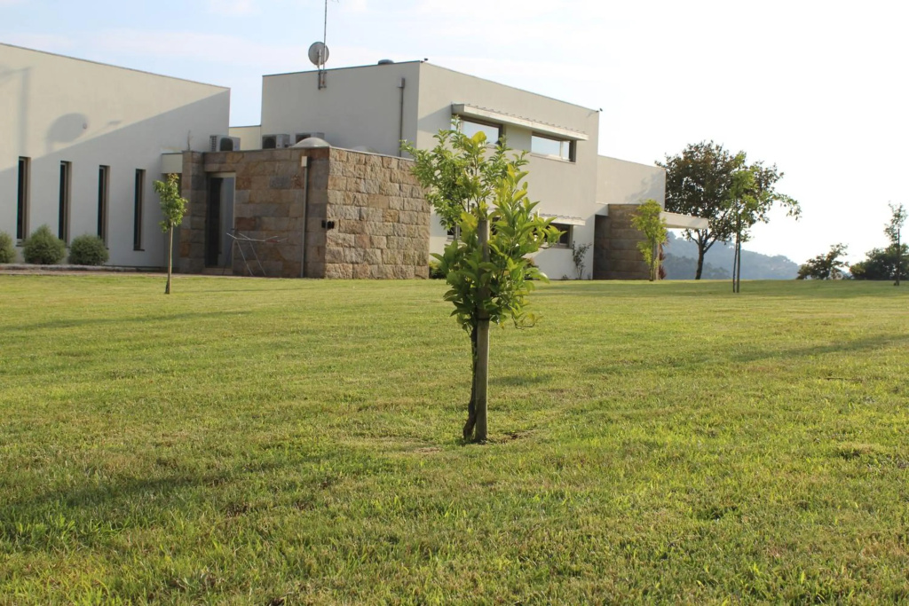 Casa de Coyra