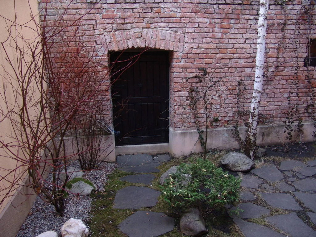 Image 19