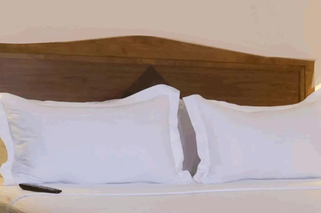 Fiesta Inn Colima — фото 6