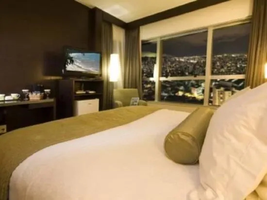 Bourbon Belo Horizonte Hotel — фото 5