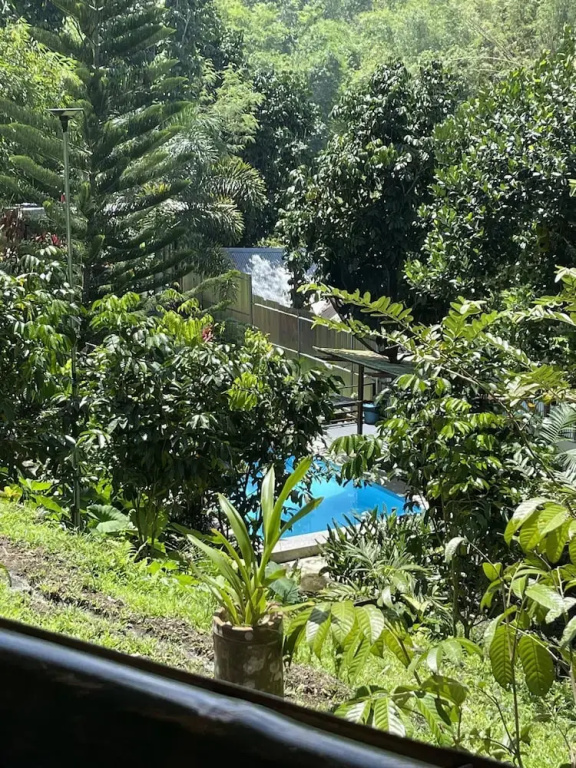 Hotel photo 41