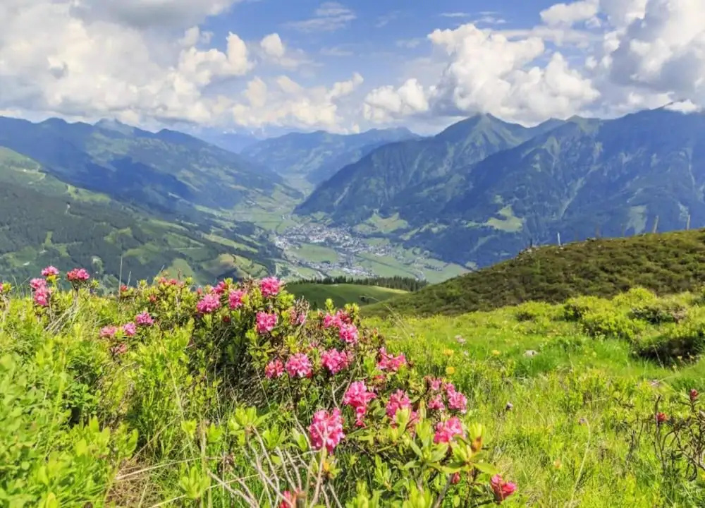 Penthouse in Bad Gastein Near Ski Lifts