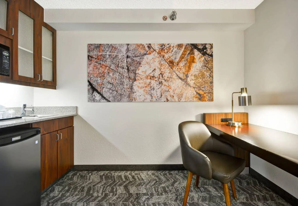 SpringHill Suites by Marriott San Antonio Medical Center/NW - Général