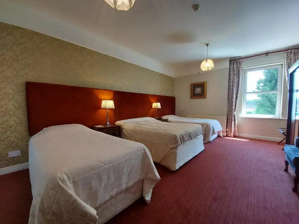 Belvedere Lodge - Chambres