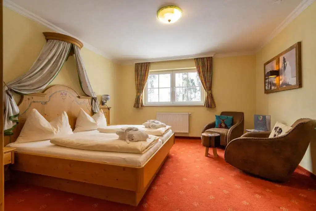 Standard Double room with mountain view (full double bed)