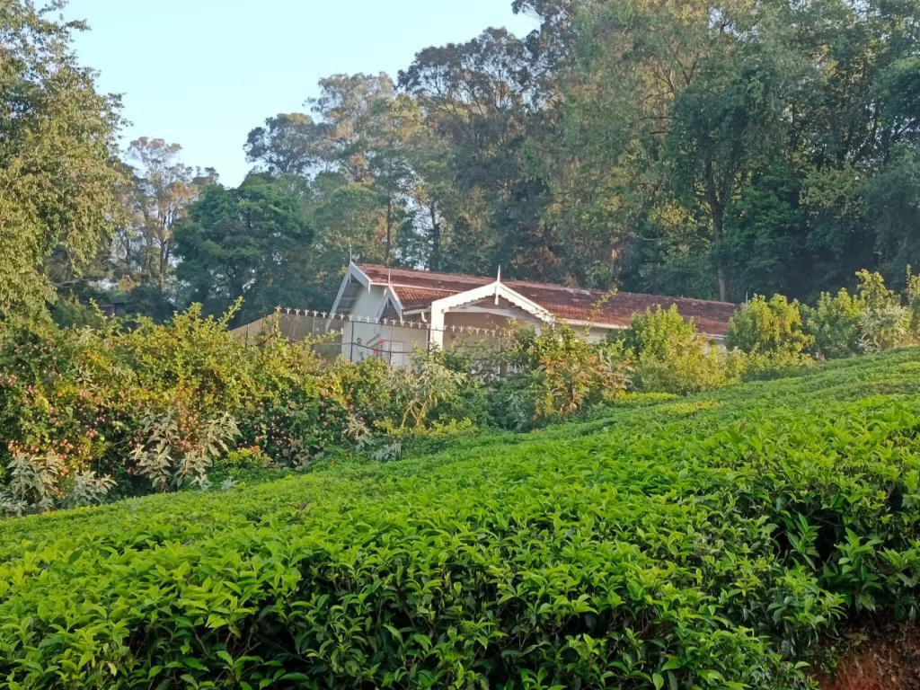 Dew Drops Cottage Coonoor by LexStays