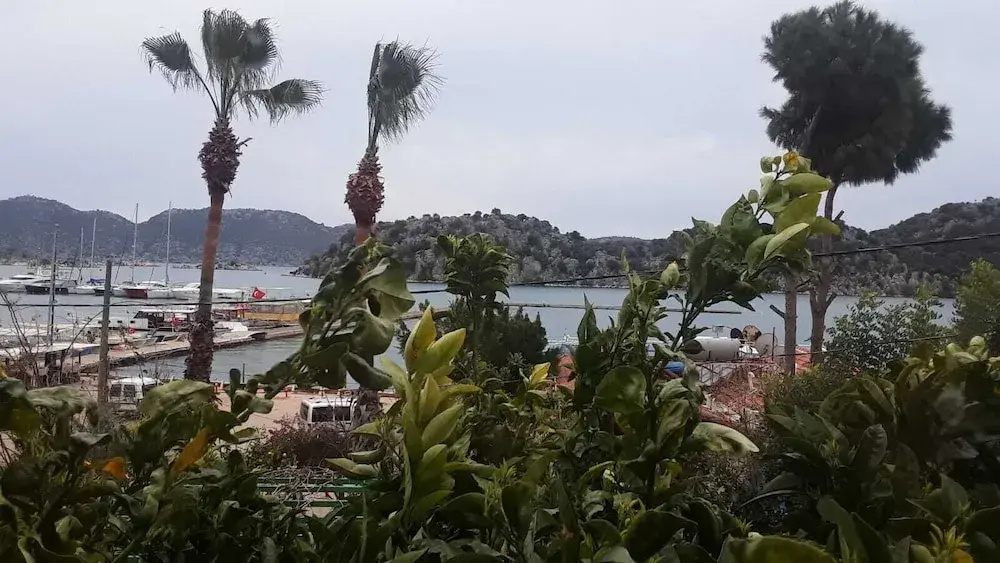 Beach & Waterfront