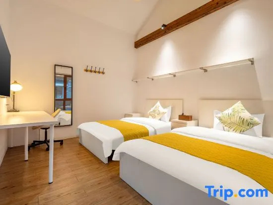 Standard Double room with city view (twin beds)