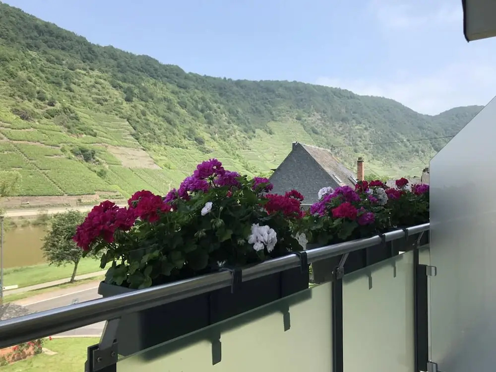 Weinbergs Loge - фото 15