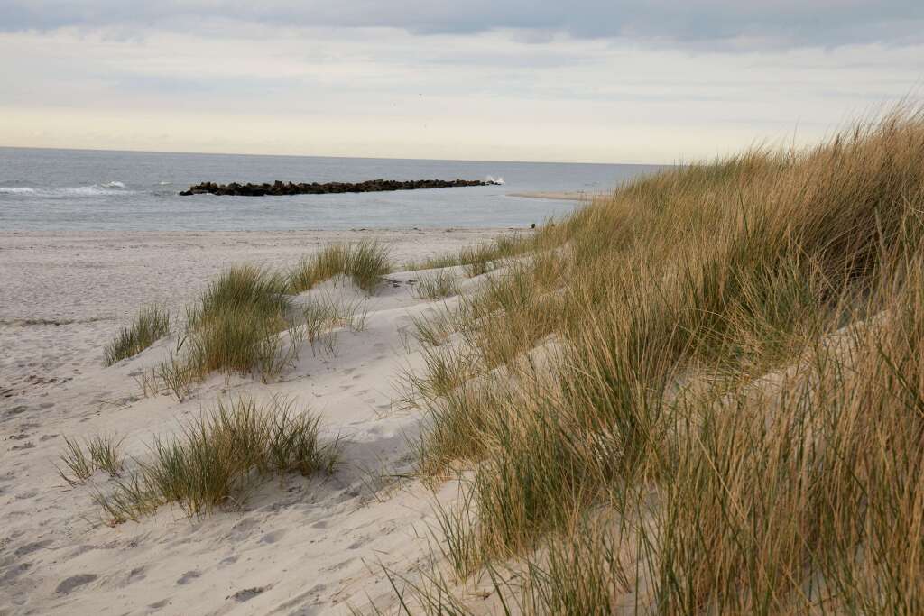Image 20