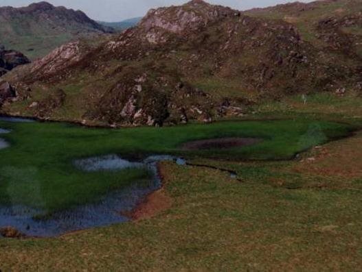 gallery_image_hidden_20