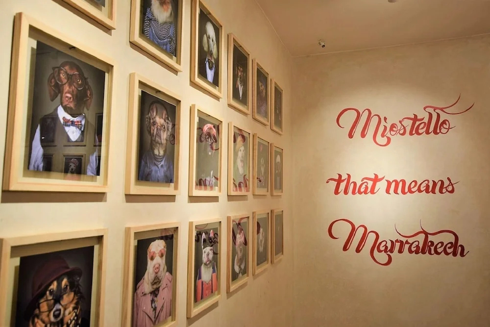 Hotel photo 9