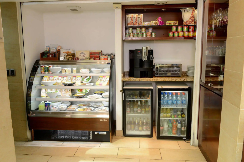 Holiday Inn Express Santiago Las Condes by IHG - Général