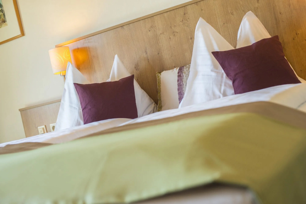 Hotel Das Gastein - including Alpentherme entrance all year and including "Gasteiner Bergbahnen" during summer season - Général