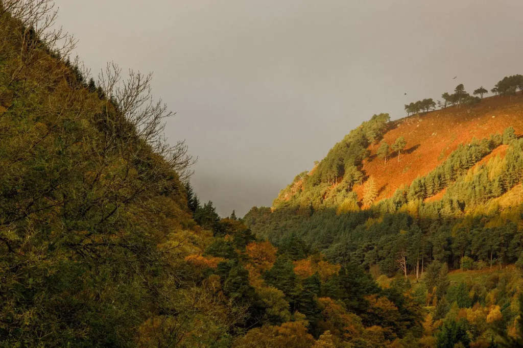 The Glendalough Hotel - Général