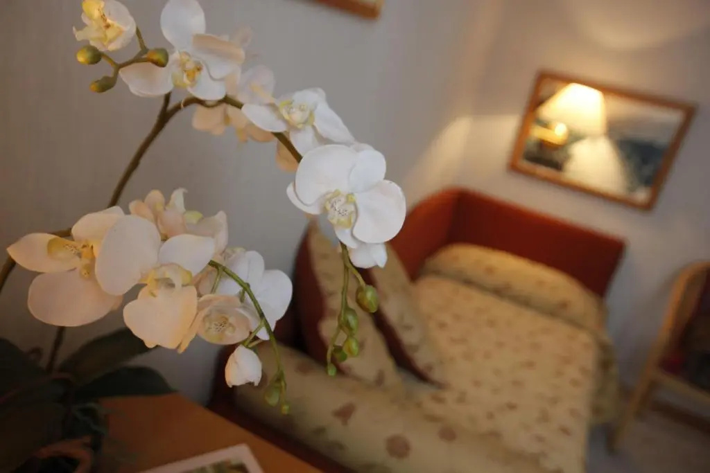 Hotel Monte Rosa - Chambres