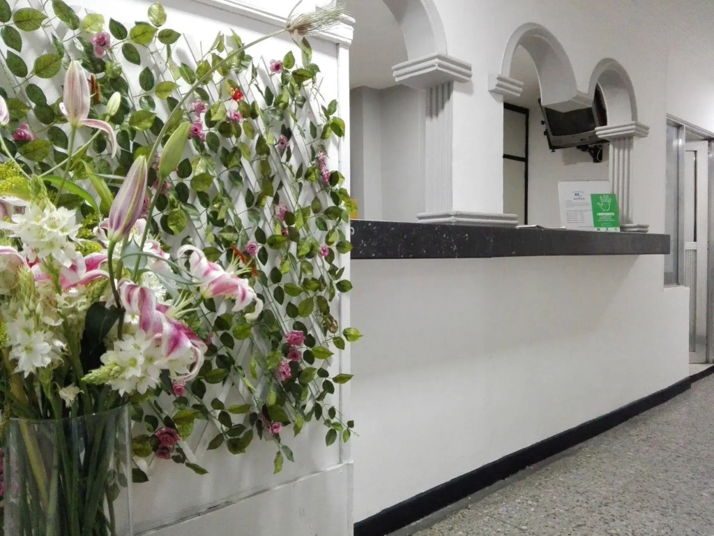 hotel Manzanares