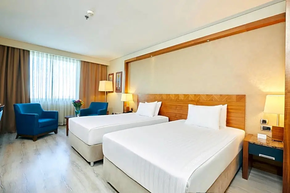 Dedeman Konya Hotel And Convention Center - Chambres