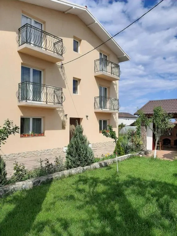 Roman Costinesti camere de inchiriat