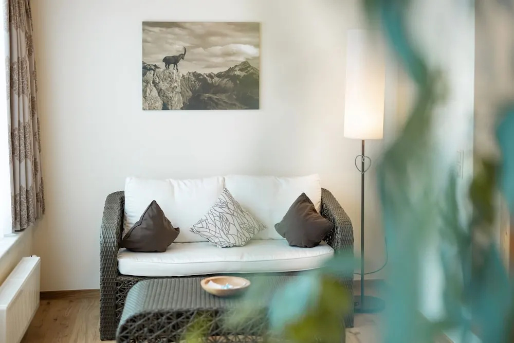 Superior Double room with mountain view (full double bed)