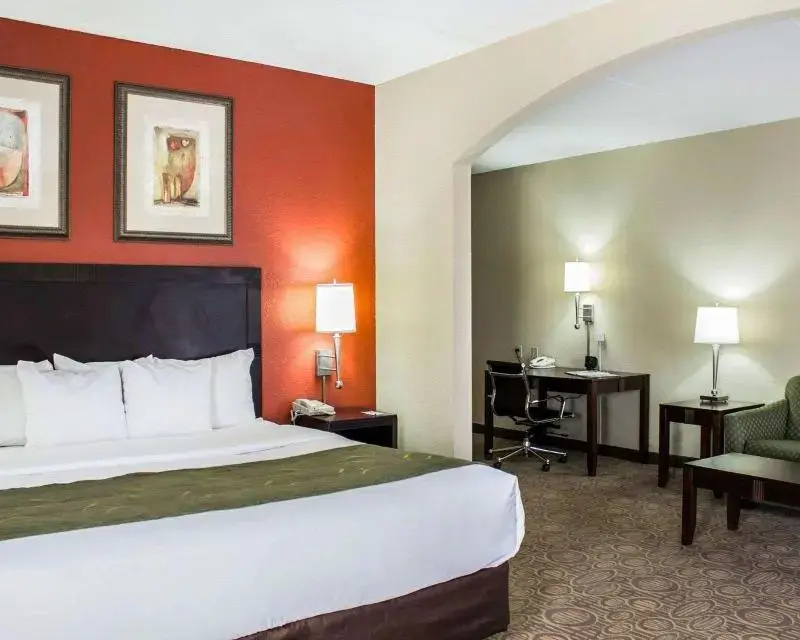 Comfort Suites Regency Park - Chambres