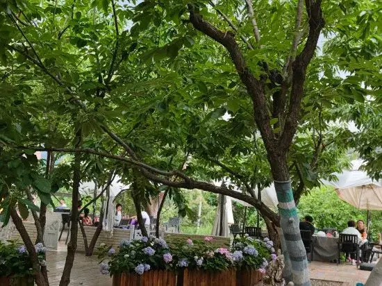 Hotel photo 28