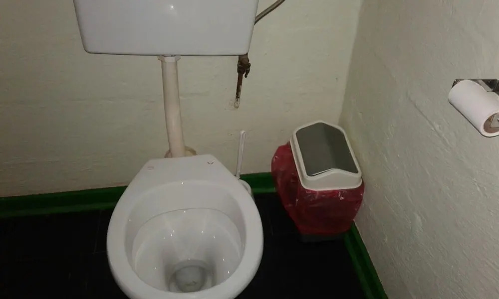 Image 8
