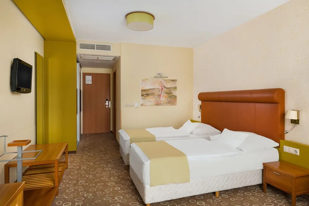 Standard Double room (twin beds)