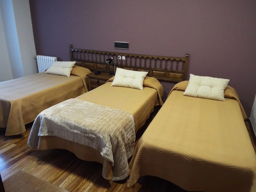 Hotel Ansuiña - Général