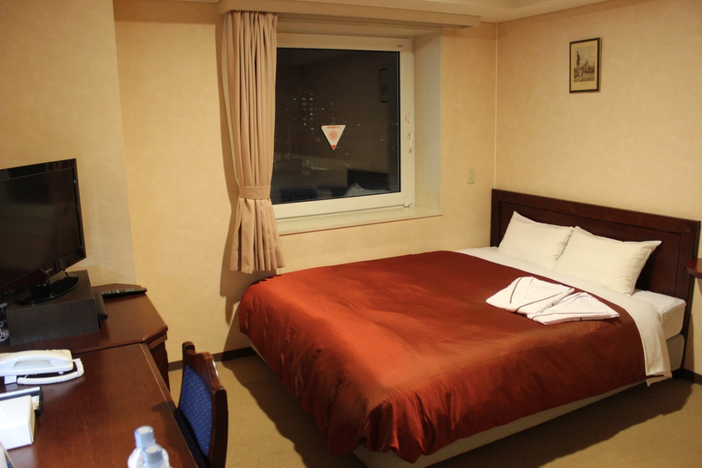 Standard Double room (full double bed)