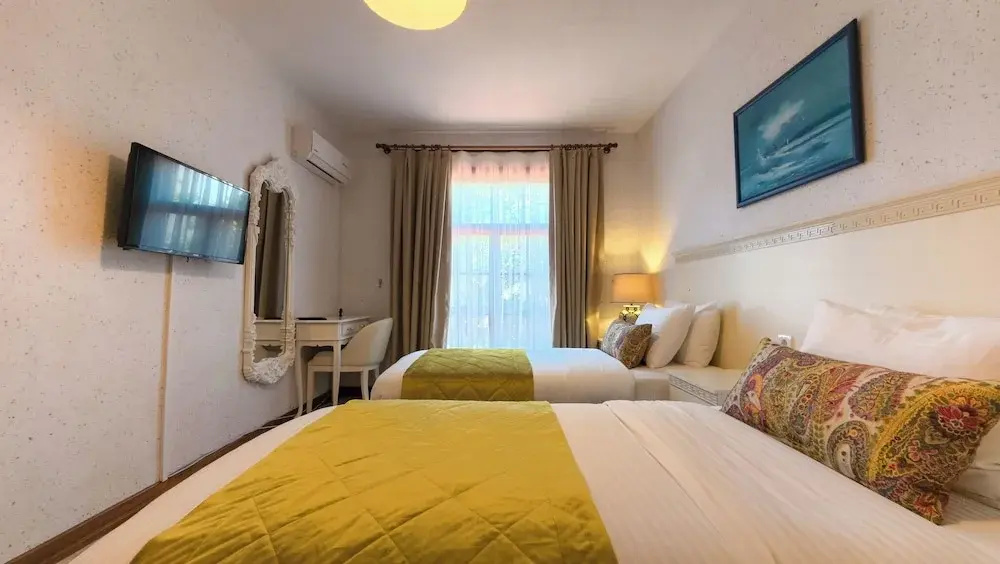 Deluxe Double room (twin beds)