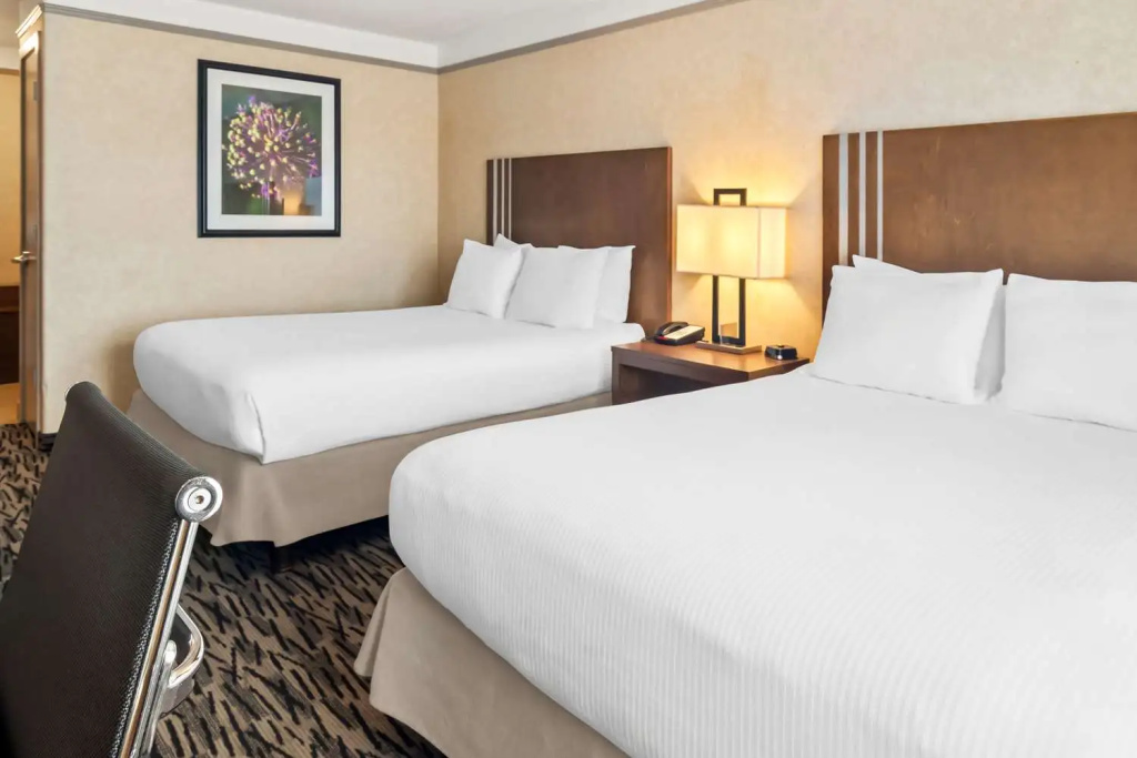 Hotel photo 50