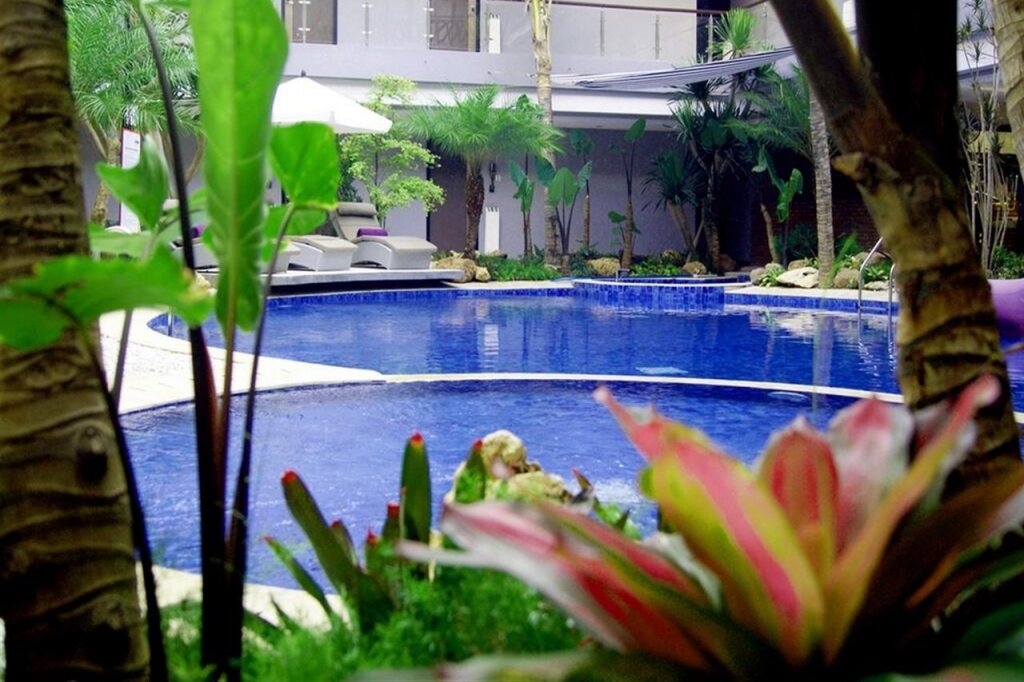 Amaroossa Suite
