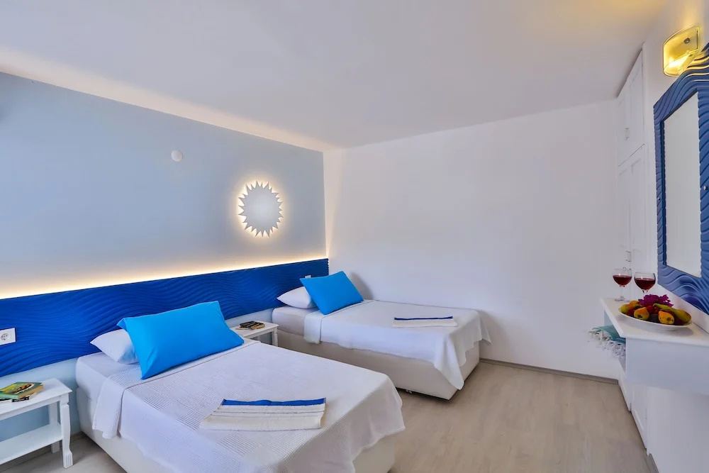 Standard Double room (twin beds)