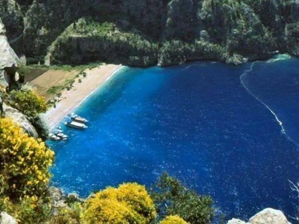Beach & Waterfront