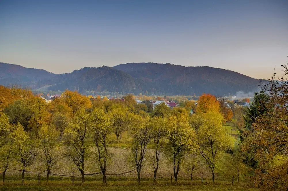 Bucovina Residence & SPA - Chambres