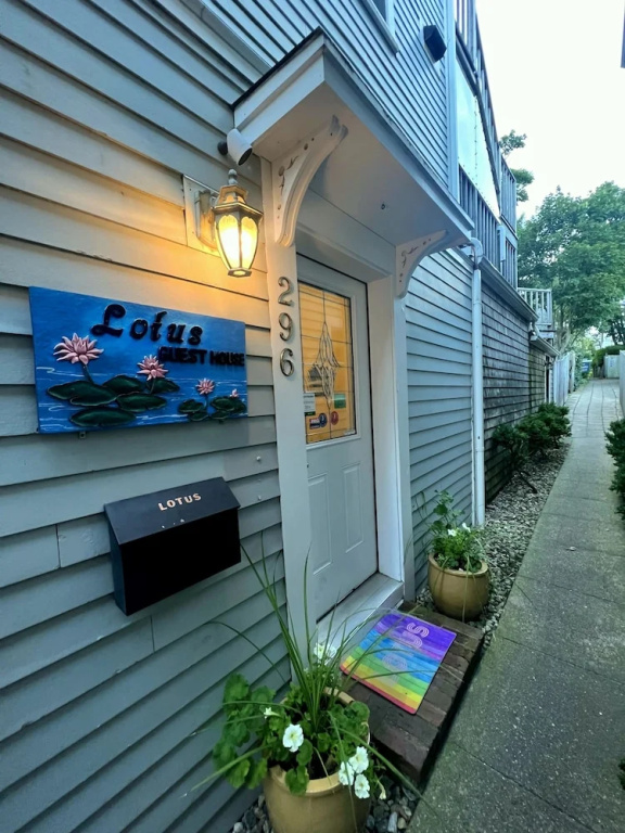 Lotus Provincetown