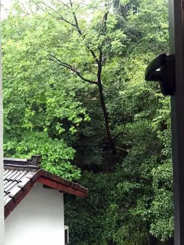 Balcony & Terrace