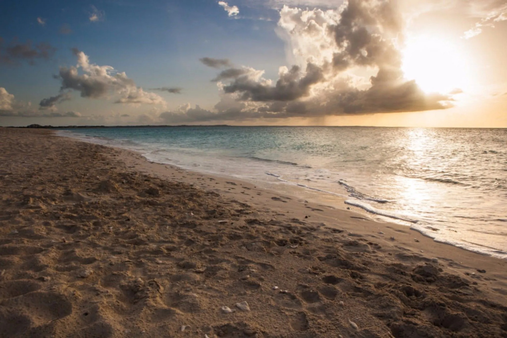 Beach & Waterfront
