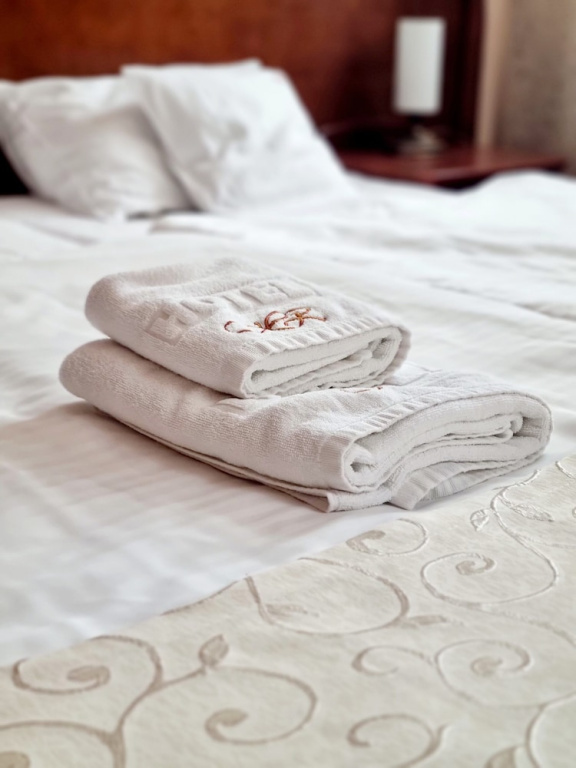 Hotel Rytwiany Nowy Dworek - Chambres