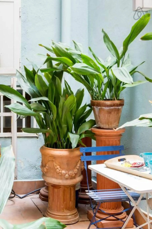 Explore a Walkable Neighborhood around a Comfy Apartment