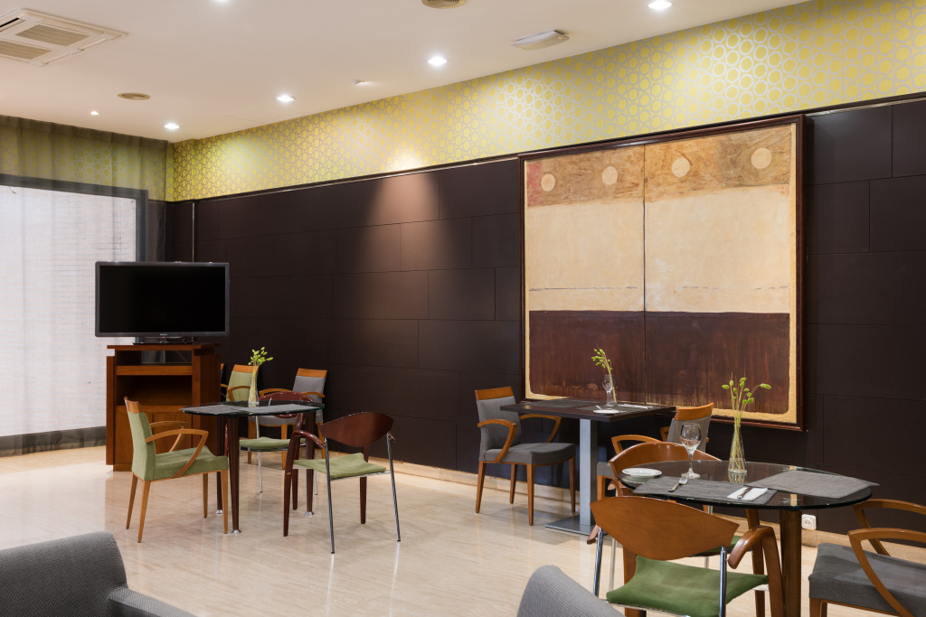Hotel Ciudad de Valladolid - Général