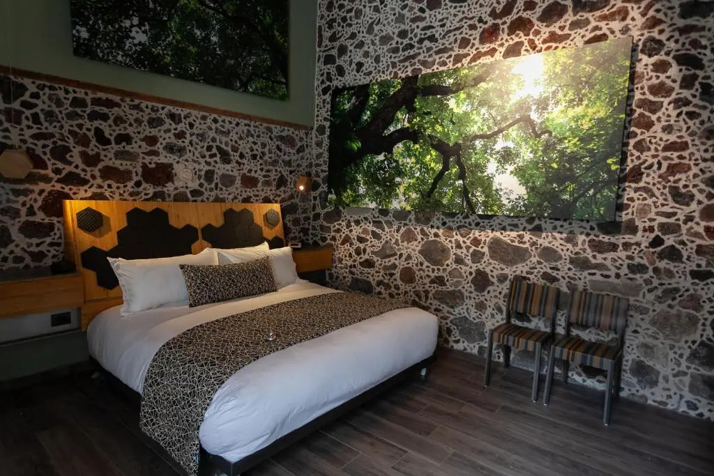 Deluxe Double Suite (full double bed)